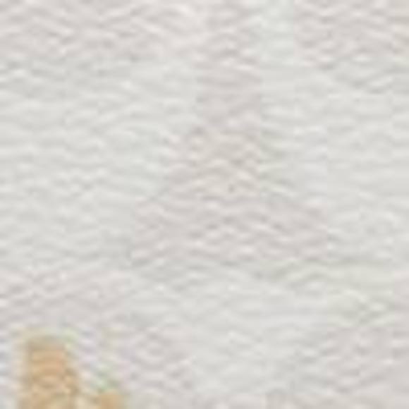 NWT Coach Outlet Phone Crossbody In Signature Canvas With Bee Print - Picture 4 of 5